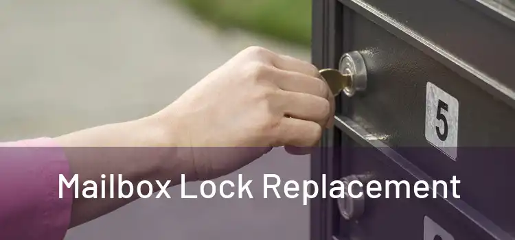 Mailbox Lock Replacement